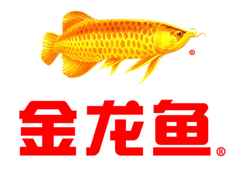 金龍魚